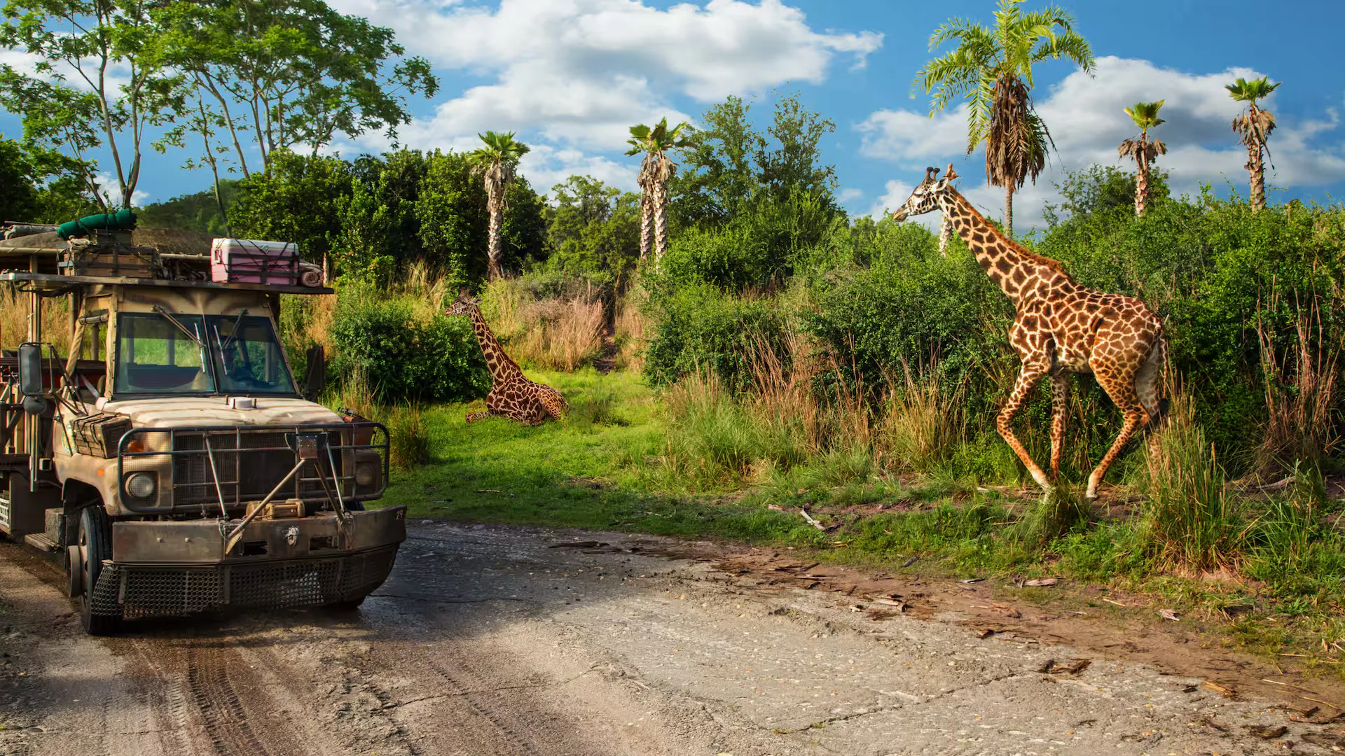 imagen del safari de animal kingdom en disney orlando