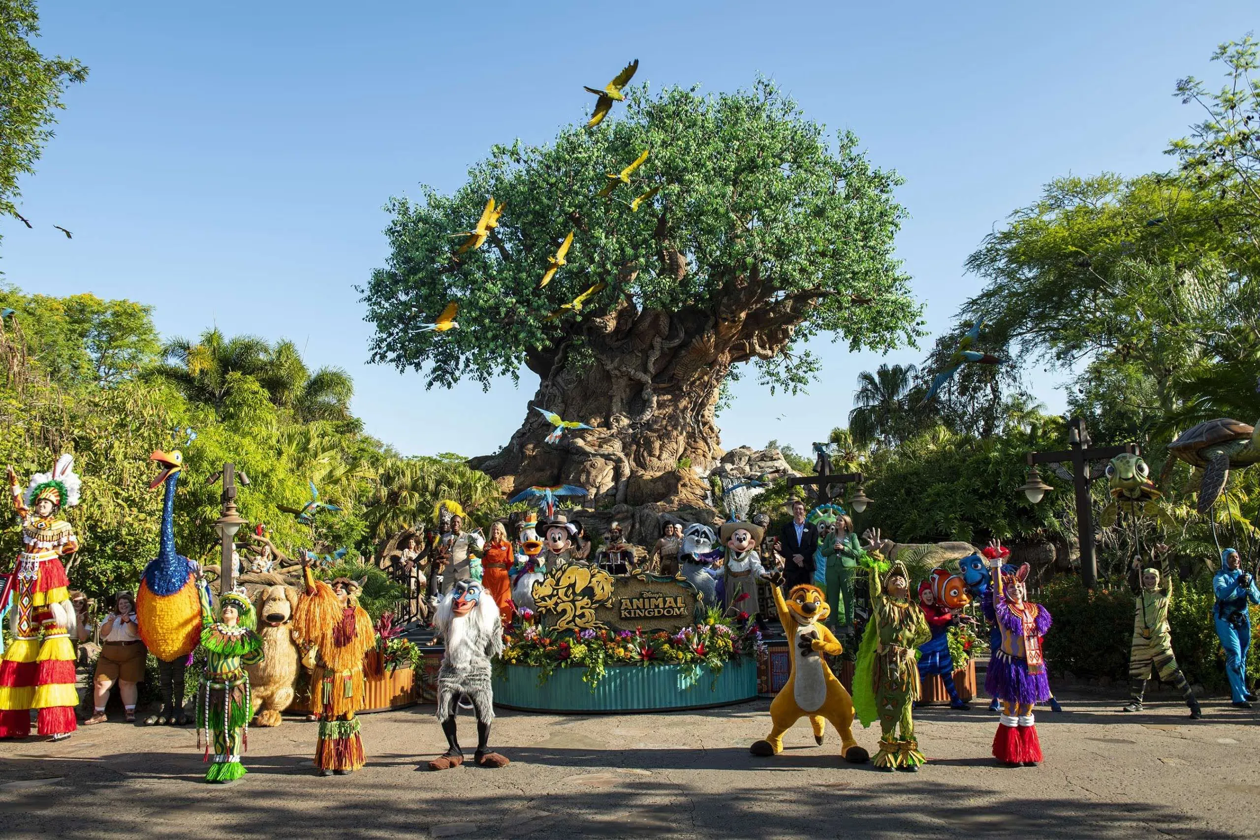 imagen sobre el parque animal Kingdom en Disney Orlando