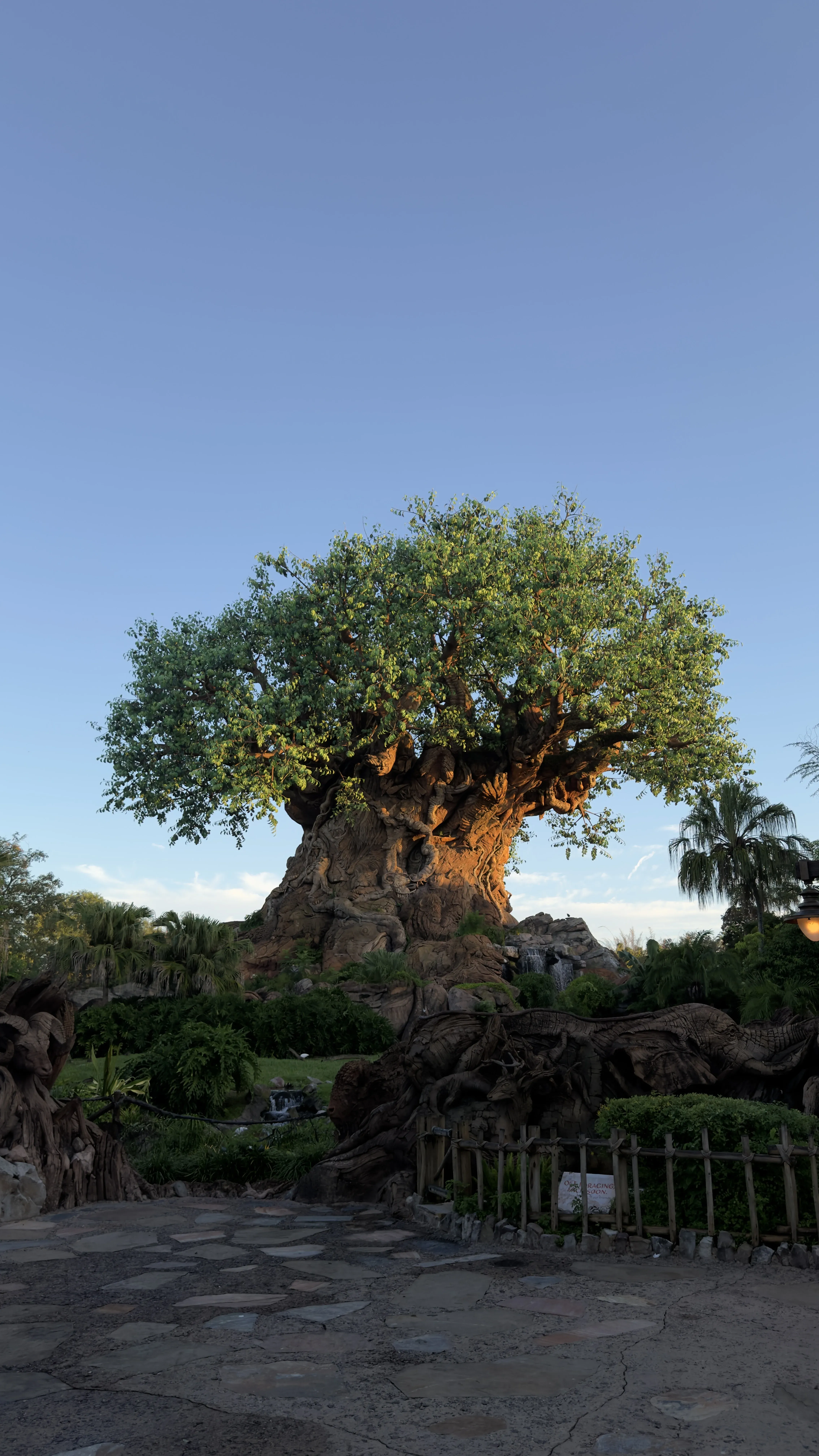 Paquete Disney y Universal Orlando enero 2027