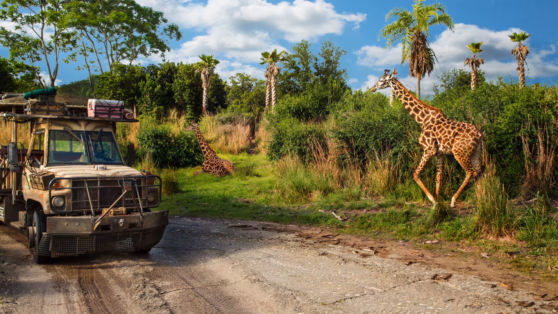 imagen del safari de animal kingdom en disney orlando