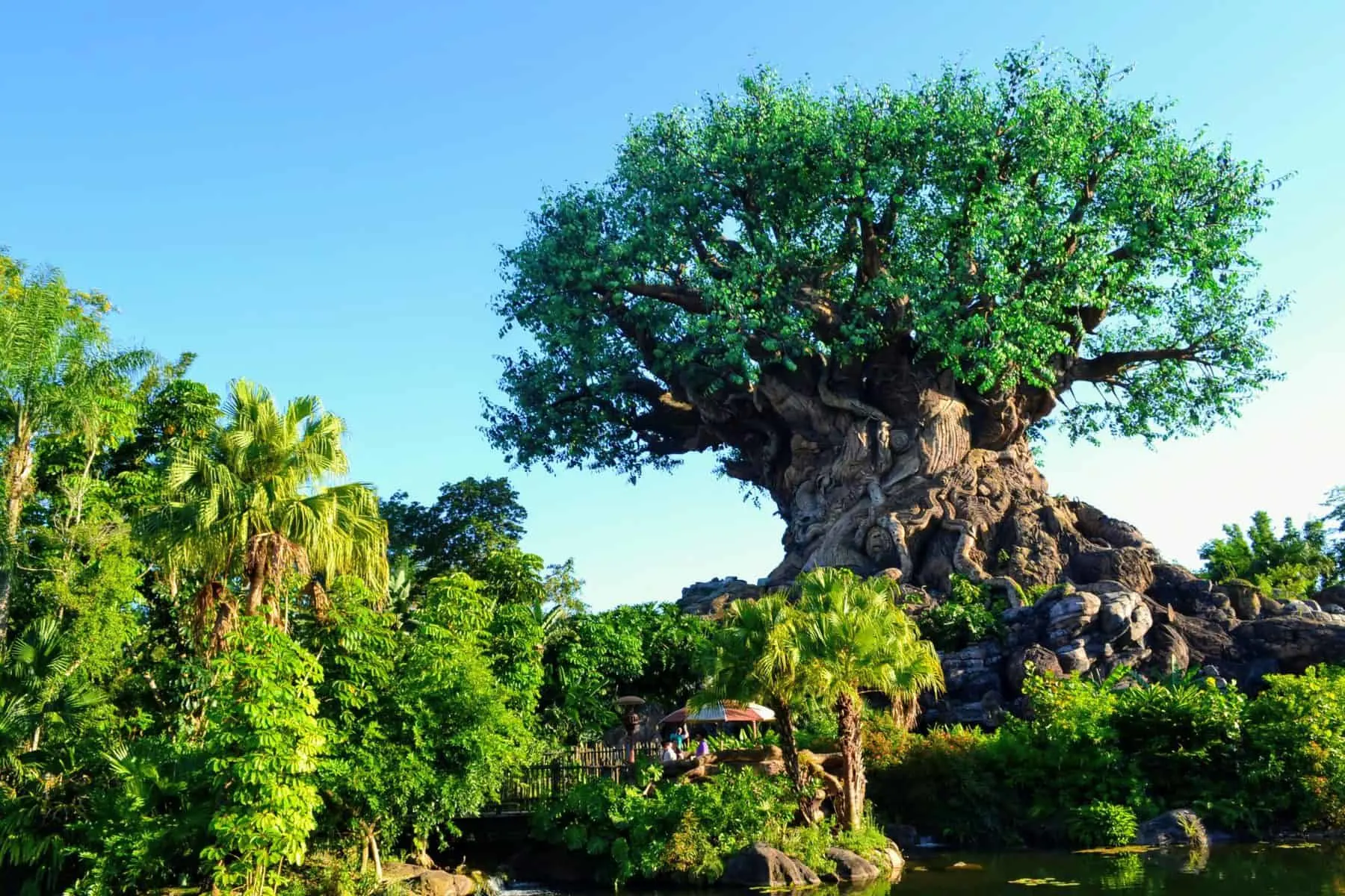 Imagen del árbol de Animal Kingdom