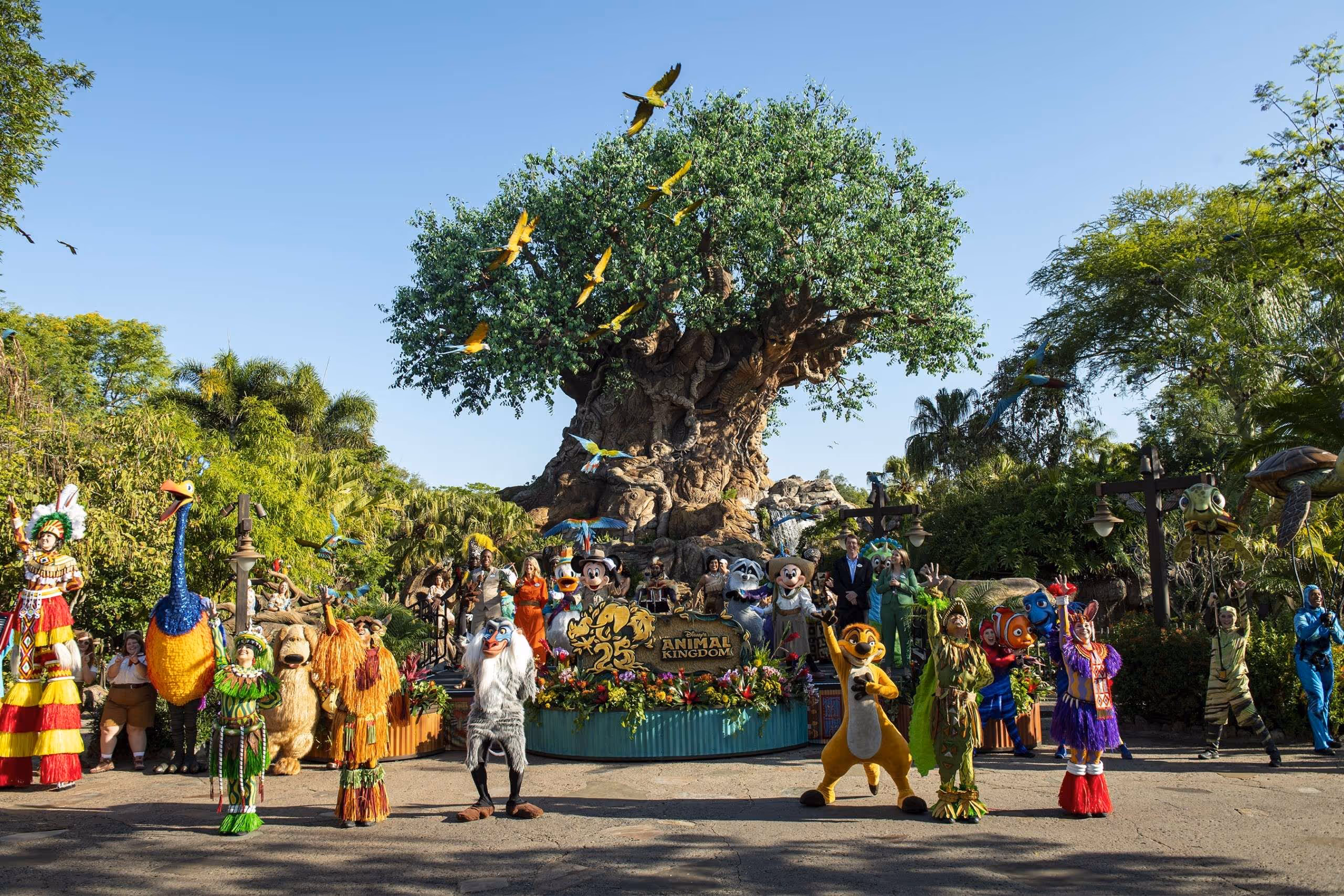 imagen sobre el parque animal Kingdom en Disney Orlando